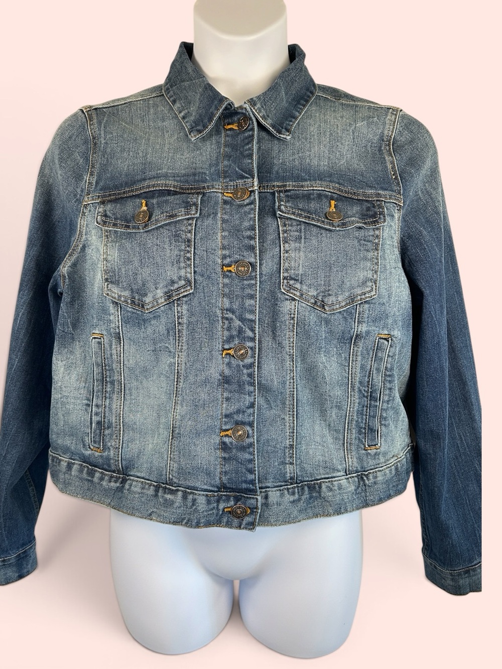JUSTUSA Women’s Size 1X Navy Morrie Boyfriend Denim Jacket Stitch Fix